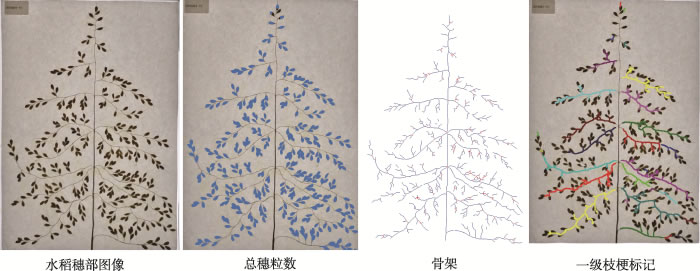 圖3191120.jpg 圖3191120.jpg