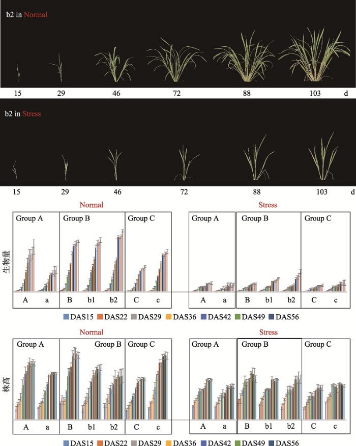 圖4191120.jpg 圖4191120.jpg