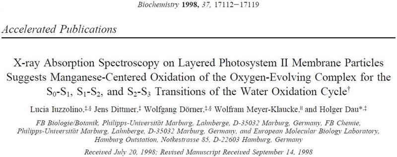 1998Lucia Iuzzolino.jpg 1998Lucia Iuzzolino.jpg