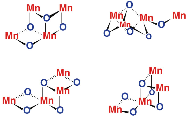 圖3191202.jpg 圖3191202.jpg