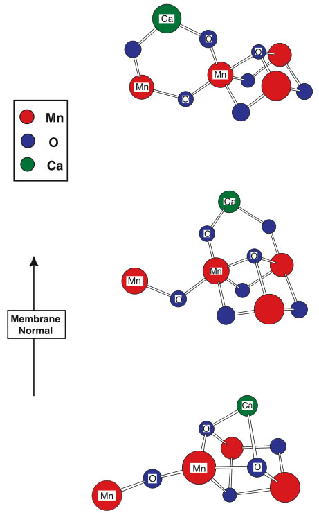 圖4191202.jpg 圖4191202.jpg