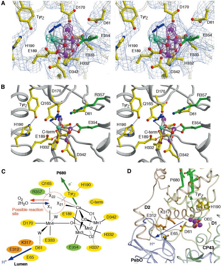 圖5191202.jpg 圖5191202.jpg