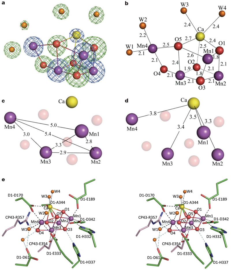 圖6191202.jpg 圖6191202.jpg