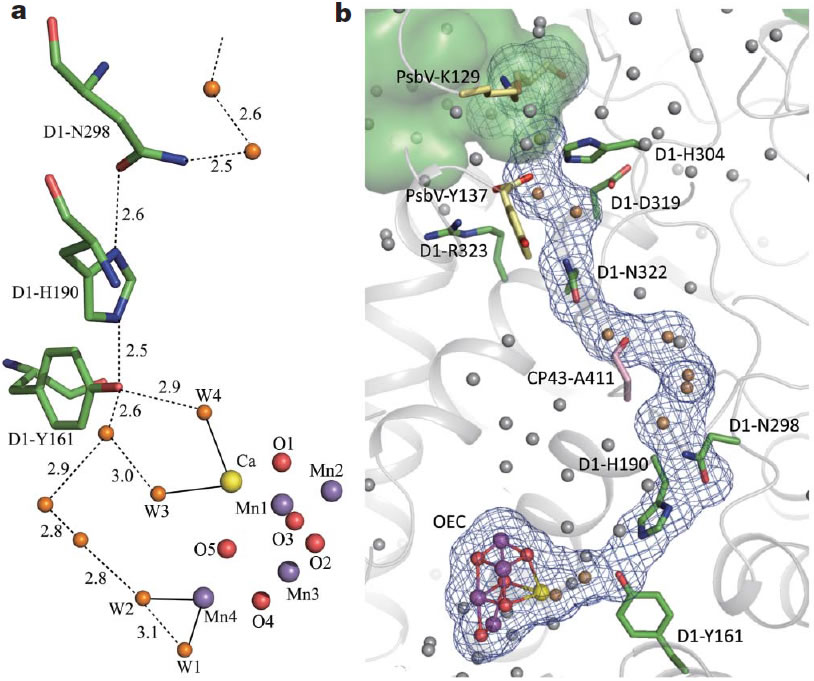圖7191202.jpg 圖7191202.jpg