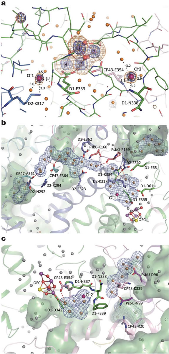 圖8191202.jpg 圖8191202.jpg