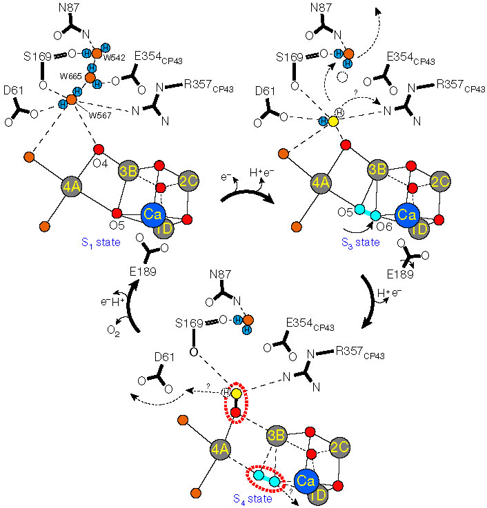 圖10191202.jpg 圖10191202.jpg