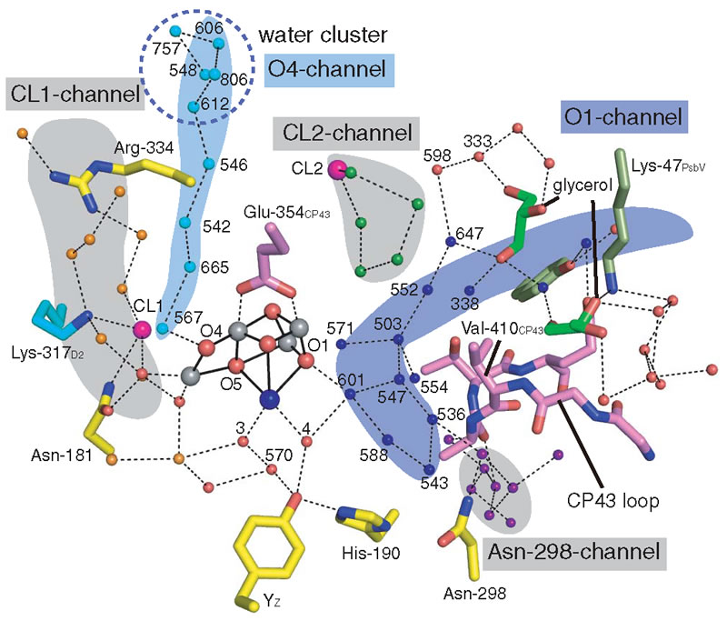 圖11191202.jpg 圖11191202.jpg