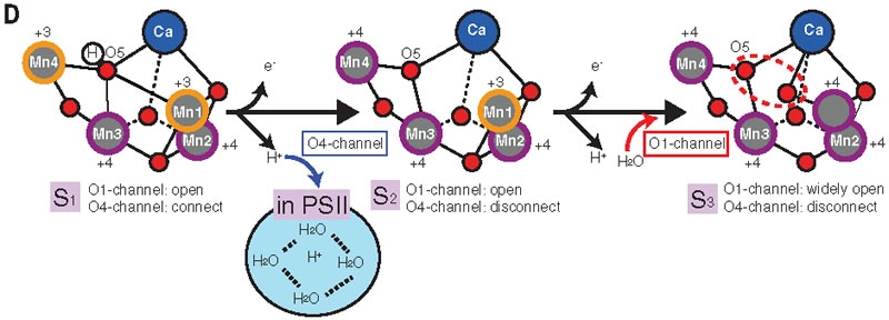 圖12191202.jpg 圖12191202.jpg