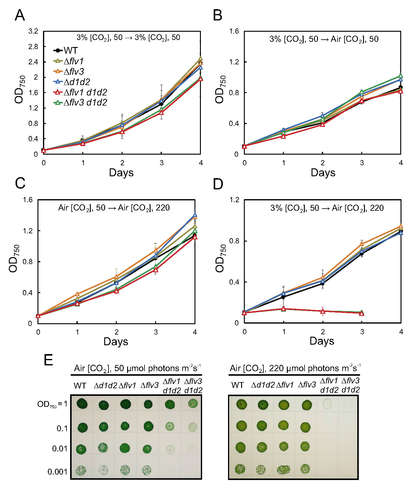 圖1200204.jpg 圖1200204.jpg