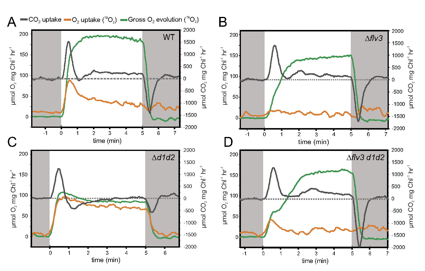 圖2200204.jpg 圖2200204.jpg