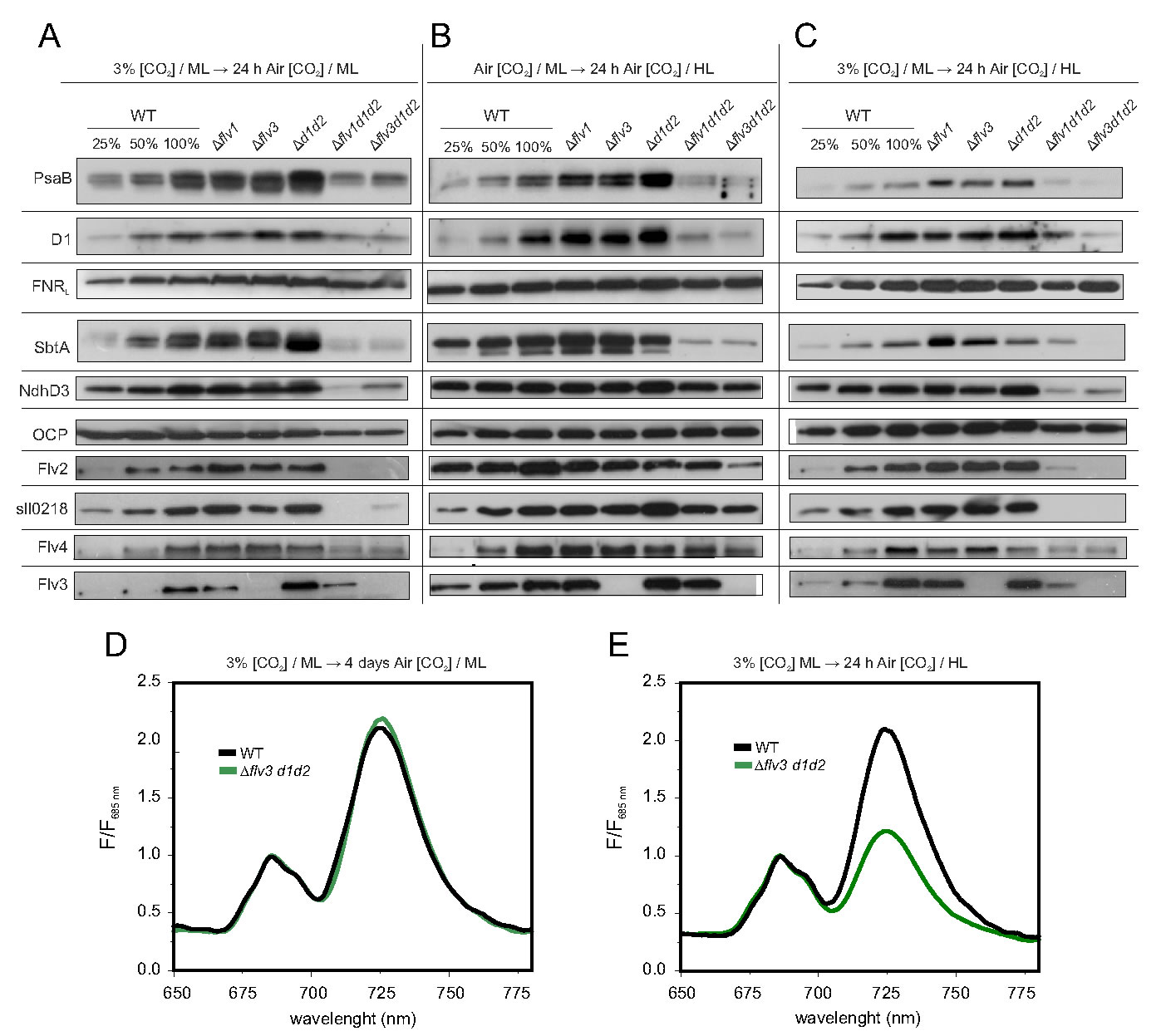 圖6200204.jpg 圖6200204.jpg