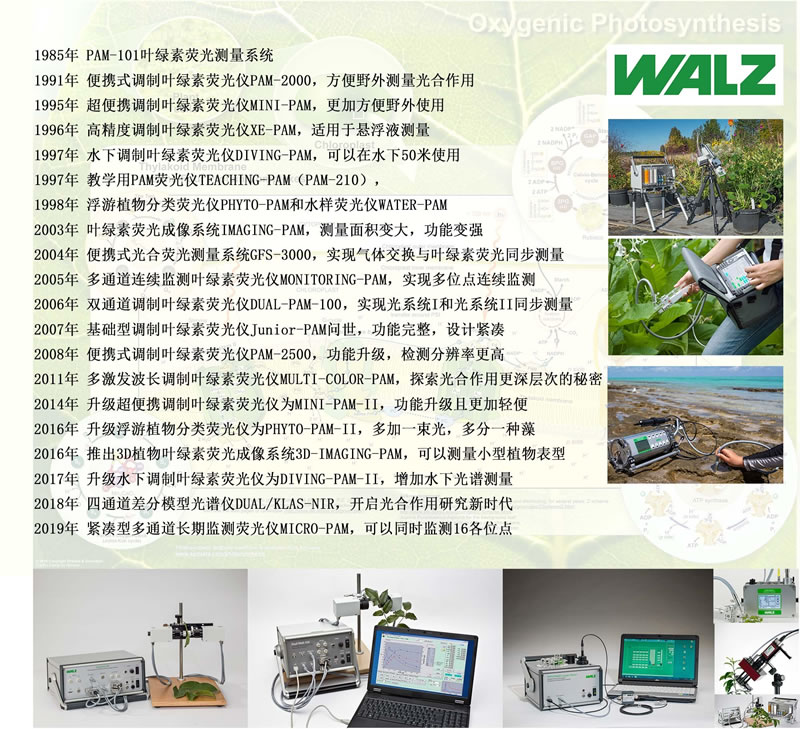 WALZ設備上市時間線.jpg WALZ設備上市時間線.jpg