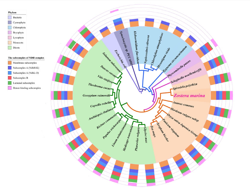 圖1200507.jpg 圖1200507.jpg