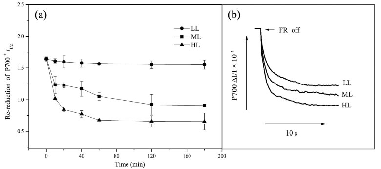 圖3200507.jpg 圖3200507.jpg