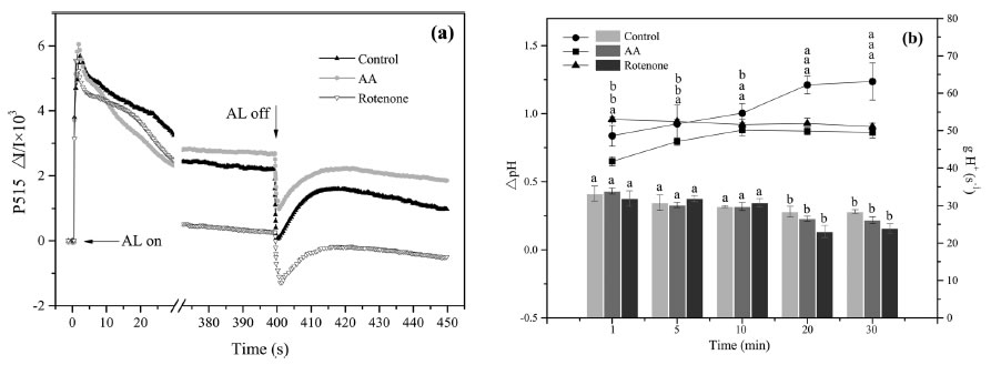 圖6200507.jpg 圖6200507.jpg