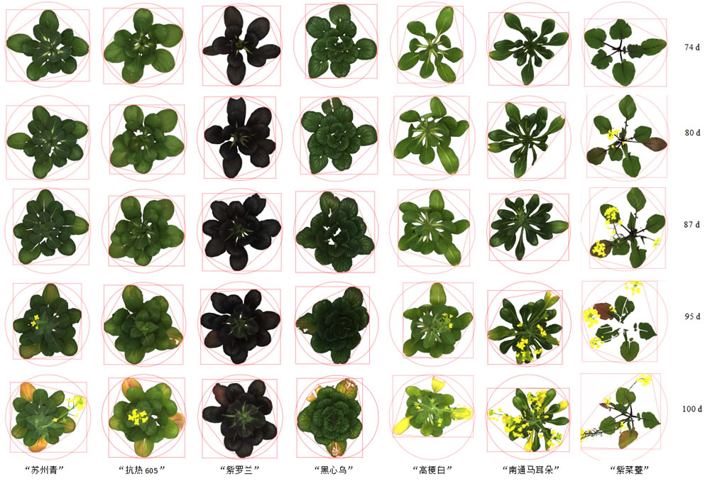 圖1191210.jpg 圖1191210.jpg