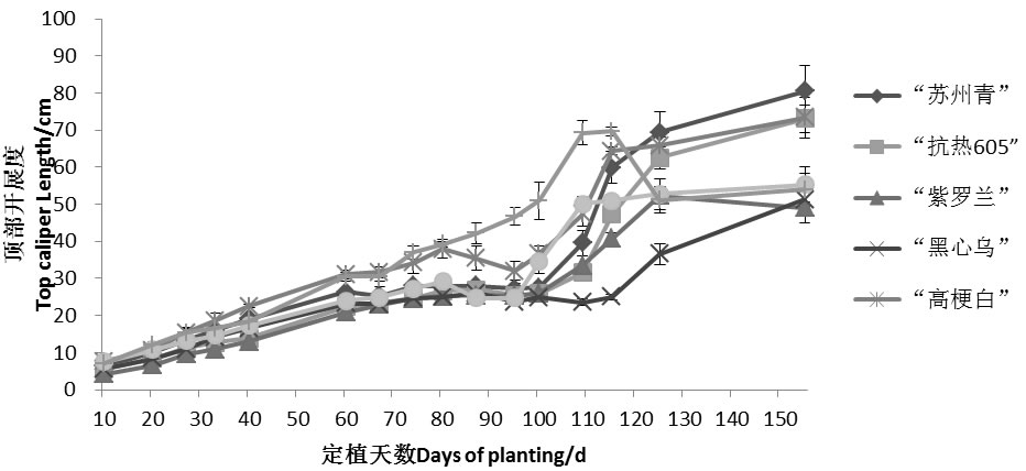 圖3191210.jpg 圖3191210.jpg