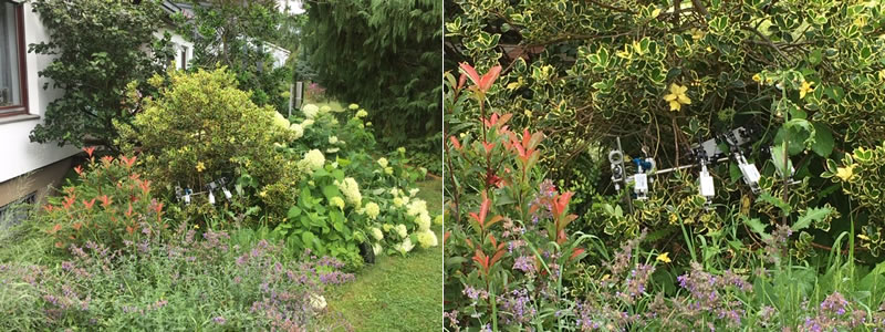 圖2200713.jpg 圖2200713.jpg