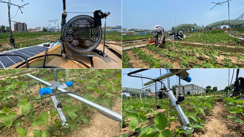 圖6200713.jpg 圖6200713.jpg