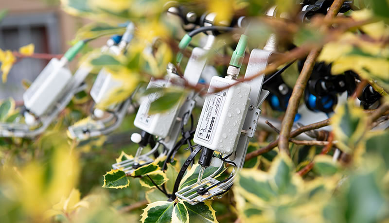 image002.jpg image002.jpg