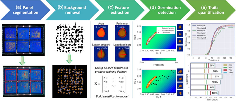 SeedGerm的核心分析算法.jpg SeedGerm的核心分析算法.jpg
