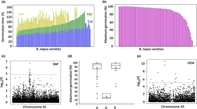 SeedGerm用于檢測(cè)88種具有不同發(fā)芽特性的甘藍(lán)型油菜的遺傳差異.jpg SeedGerm用于檢測(cè)88種具有不同發(fā)芽特性的甘藍(lán)型油菜的遺傳差異.jpg