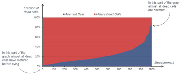 圖4200807.jpg 圖4200807.jpg