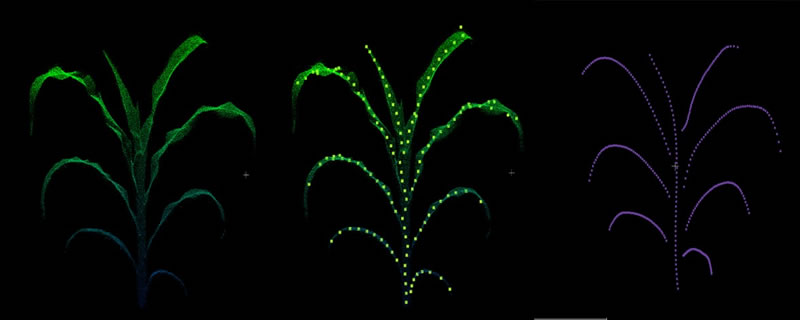 圖3200927800.jpg 圖3200927800.jpg