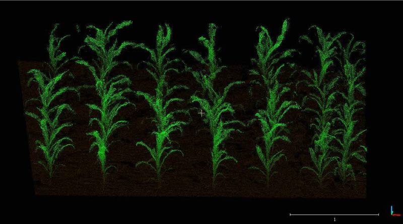 圖4200927800.jpg 圖4200927800.jpg