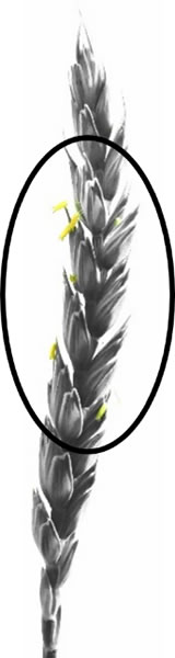 圖420111201.jpg 圖420111201.jpg