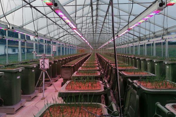 圖3201117016.jpg 圖3201117016.jpg