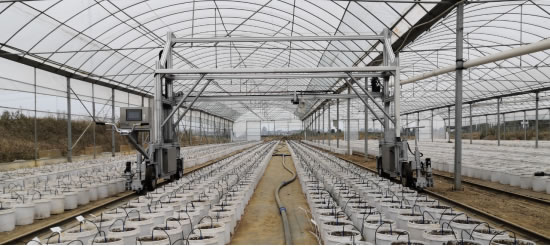 phenowatch.jpg phenowatch.jpg