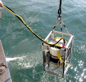 210524CytoBuoy.jpg 210524CytoBuoy.jpg
