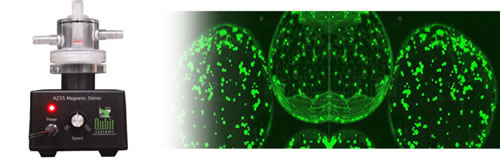 210524OX1LP.jpg 210524OX1LP.jpg