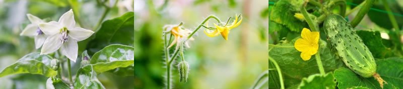 圖61210727.jpg 圖61210727.jpg