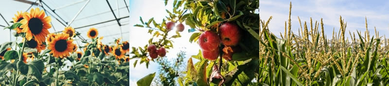 圖91210727.jpg 圖91210727.jpg