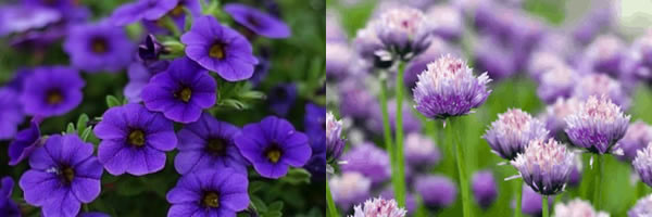 圖111210727.jpg 圖111210727.jpg