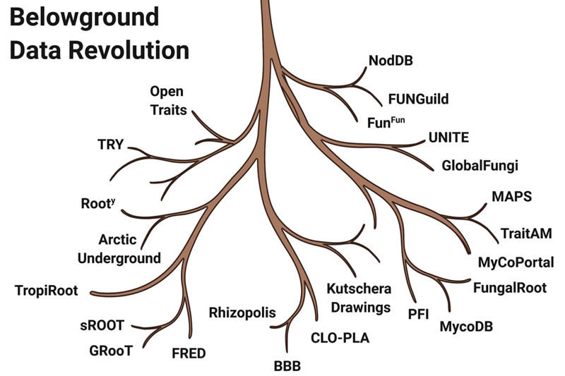 圖22110181.jpg 圖22110181.jpg