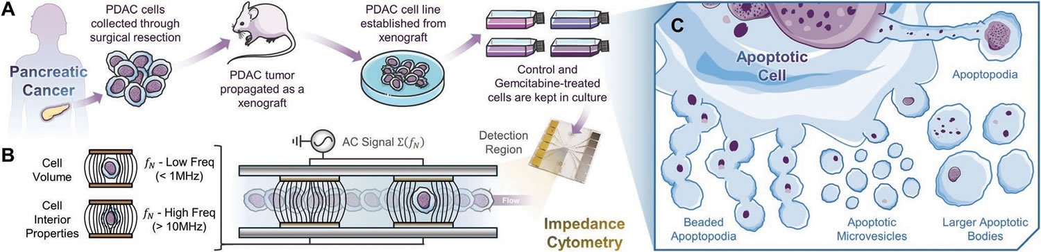 圖1211203.jpg 圖1211203.jpg