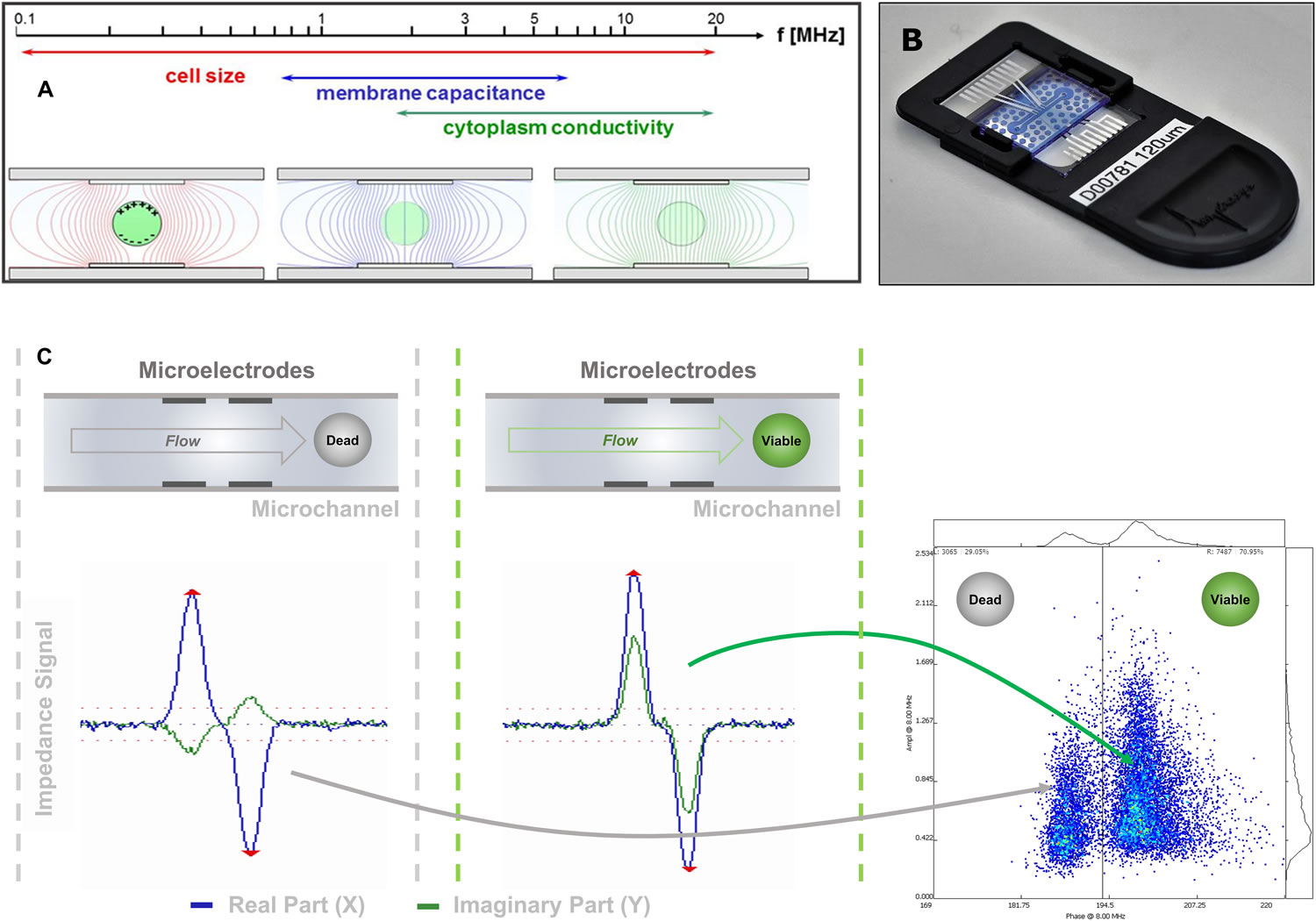 圖2211203.jpg 圖2211203.jpg