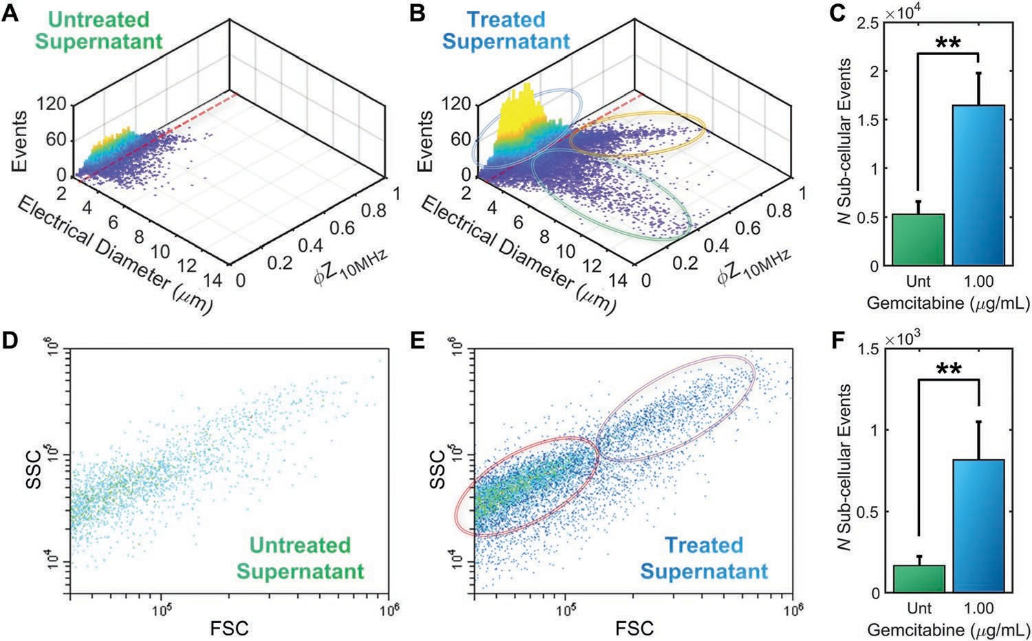 圖6211203.jpg 圖6211203.jpg