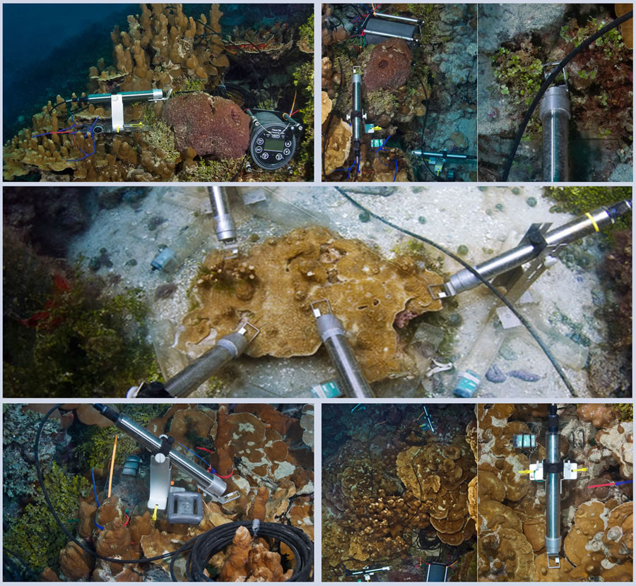 圖822022801.jpg 圖822022801.jpg