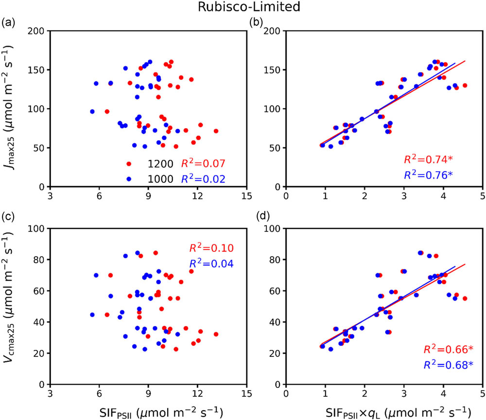 圖6220418.jpg 圖6220418.jpg