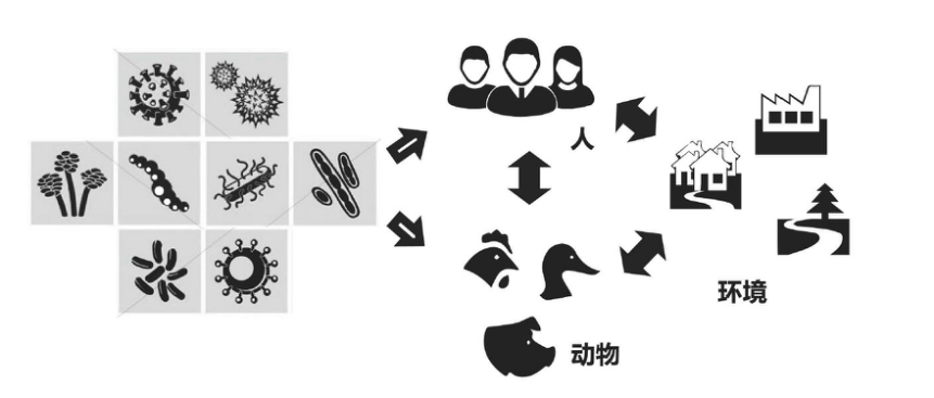 圖片7.png 圖片7.png