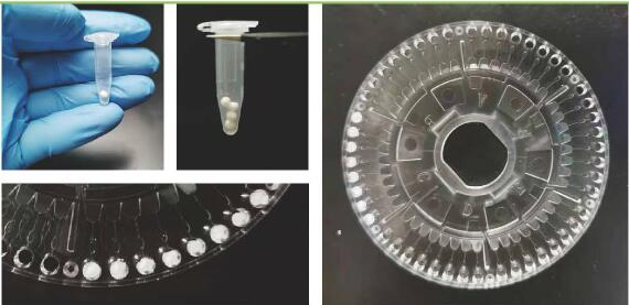 圖片13.png 圖片13.png