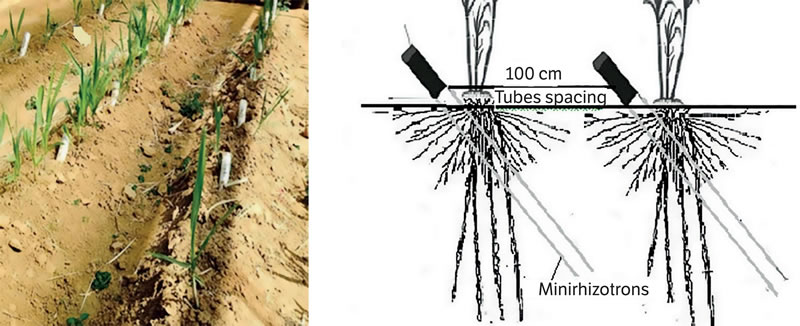 圖12205181.jpg 圖12205181.jpg