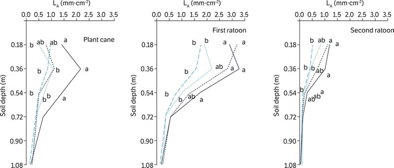 圖32205181.jpg 圖32205181.jpg