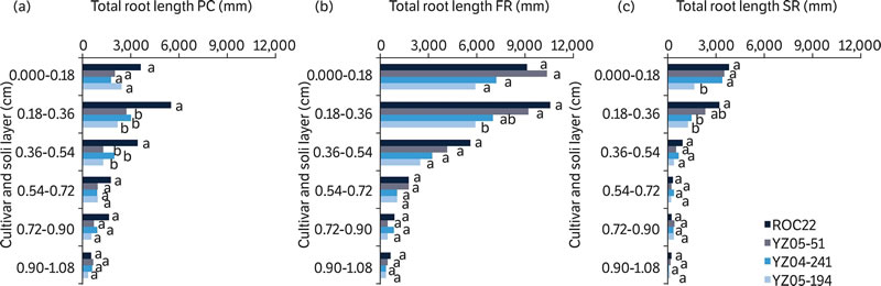 圖42205181.jpg 圖42205181.jpg