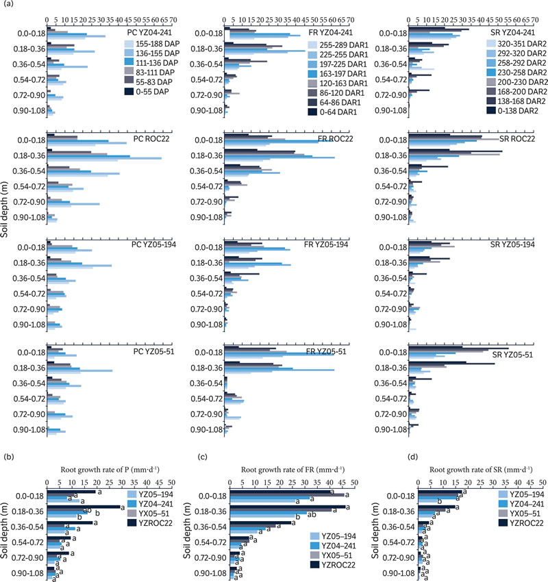 圖62205181.jpg 圖62205181.jpg