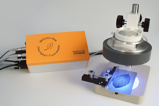 2003-1.jpg 2003-1.jpg